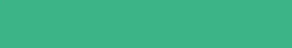 mint colored divider