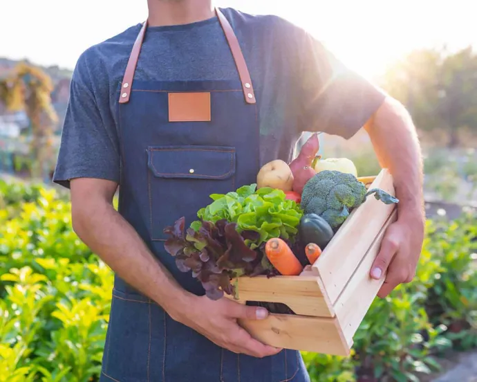 A person wearing a blue apron holding a wooden crate filled with fresh vegetables, standing outdoors in a garden or farm setting with greenery in the background.