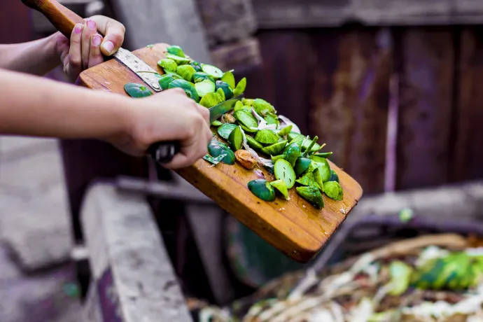adding food to a compost bin